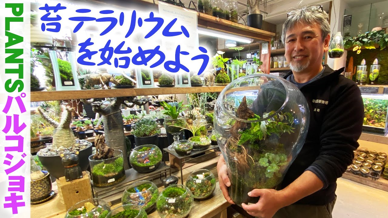 【パルコジョキ】作って楽しい苔テラリウムの世界／室内で育つ苔選び／ミニチュアのパーツで風景をつくる【園芸】【植物】