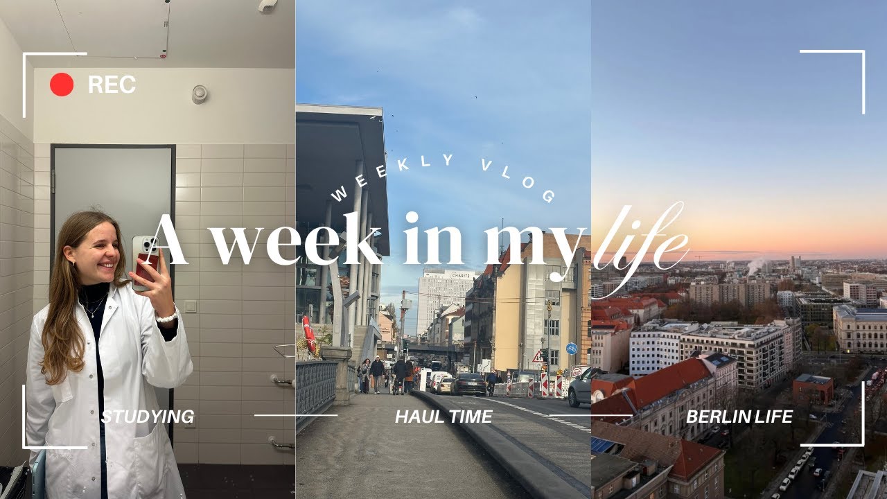 uni vlog: Lernmethode im Medizinstudium, Haul Time, Adventskalender machen, Maxton Hall schauen✨