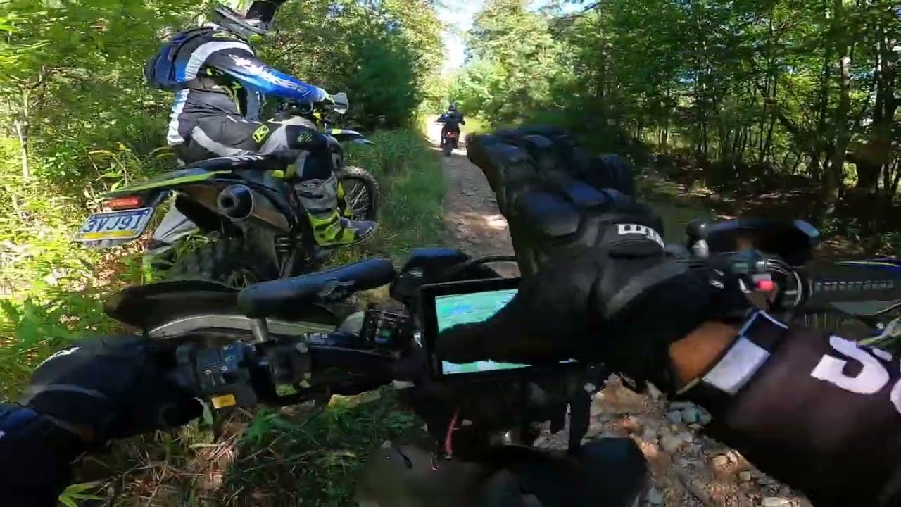 Quick Trip To The Bald Eagle State Forest Dual Sport Trail System