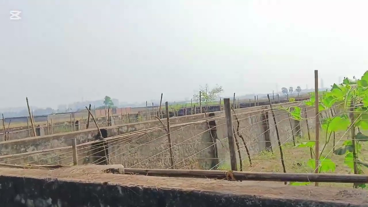 ৫ কাটা৬০ ফিট রাস্তার পাশে উত্তরা ভিউয়ের পাশে আশুলিয়া মডেল টাউন কে ব্লক ০১৯১৪৯৩১২৬৮ 