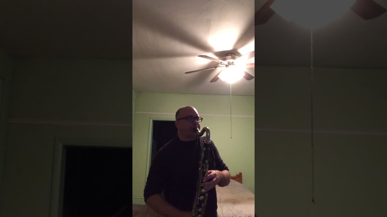 Sweet Caroline by Neil Diamond on bass clarinet