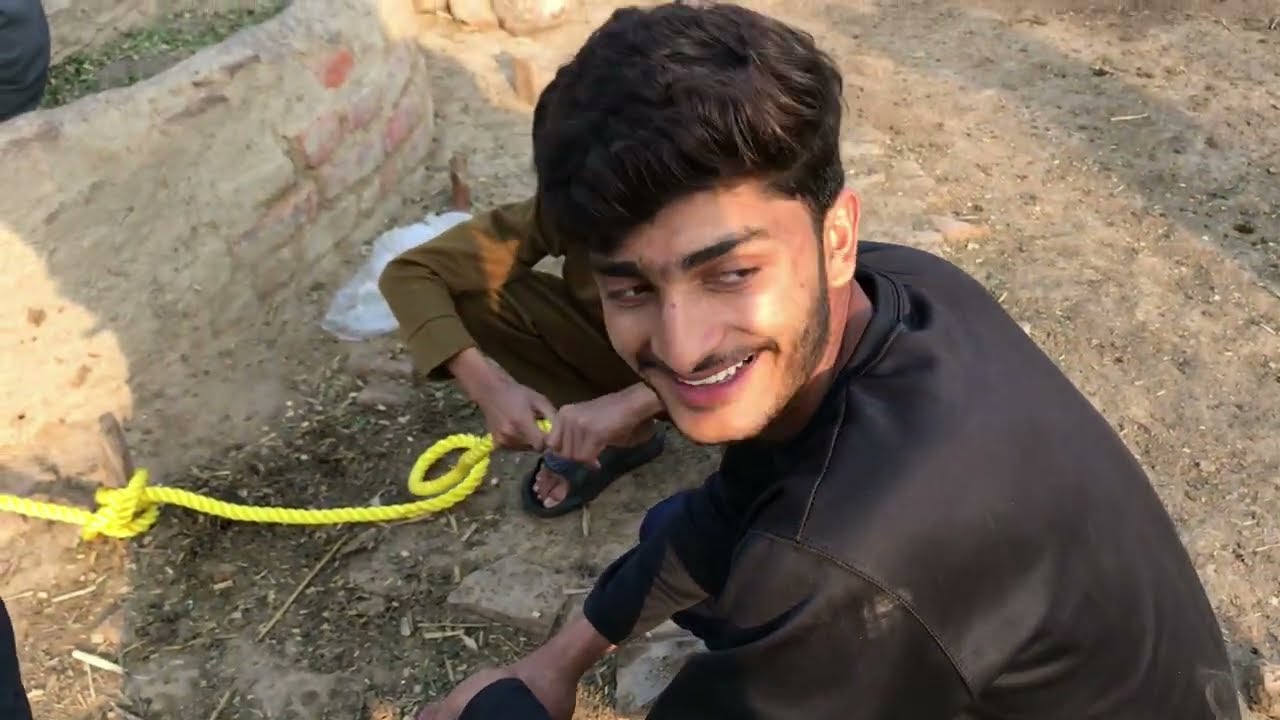 cutting grass in farm #farming #pind #villagelife #village #farmer #dailyvideo #pakistan #punjanb