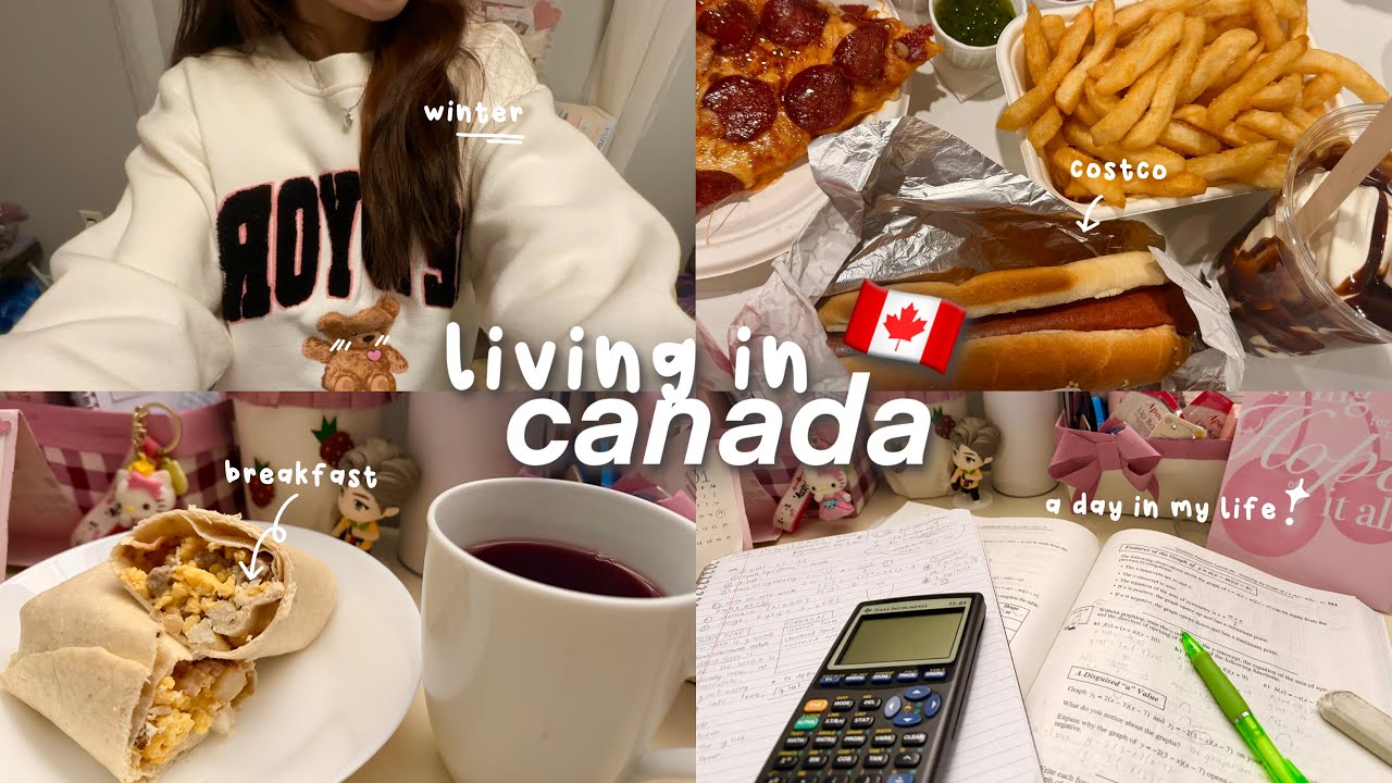 day in my life 🍁🛒📚| chill, cozy, and realistic