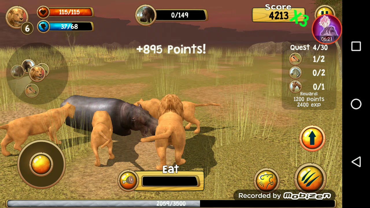 A vida de um leão wild  Lion Simulator 3D