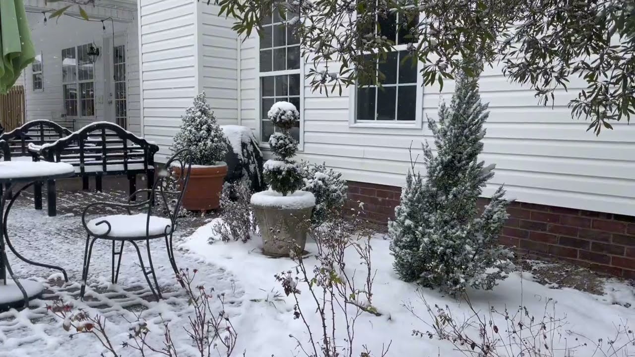 Snow Day Garden Walk❄️☃️🌨️