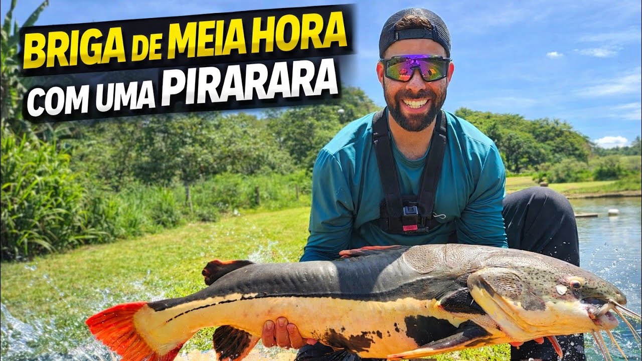 [01] BRIGA DE MEIA HORA COM UMA PIRARARA + CARPA GIGANTE