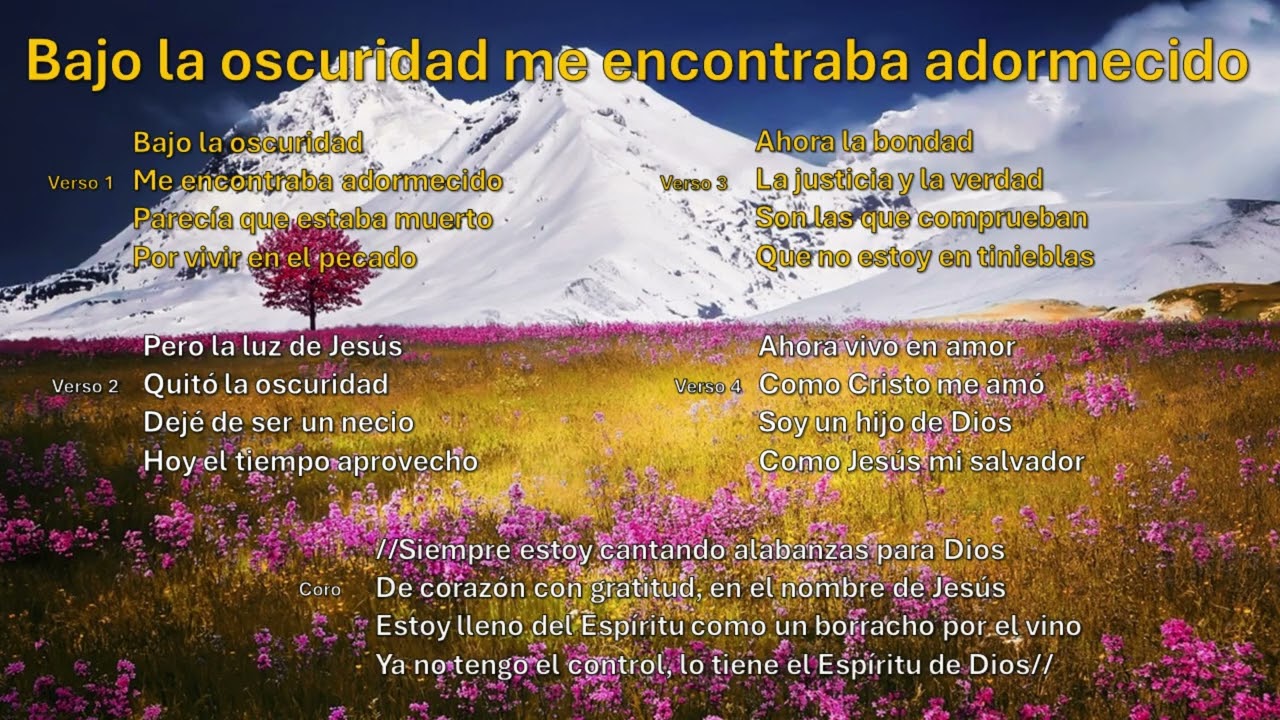 Bajo la oscuridad me encontraba adormecido