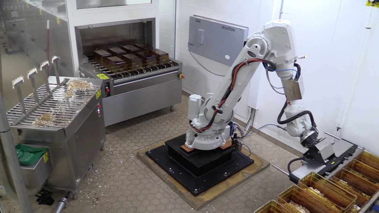 Robot cleaning mouse cages