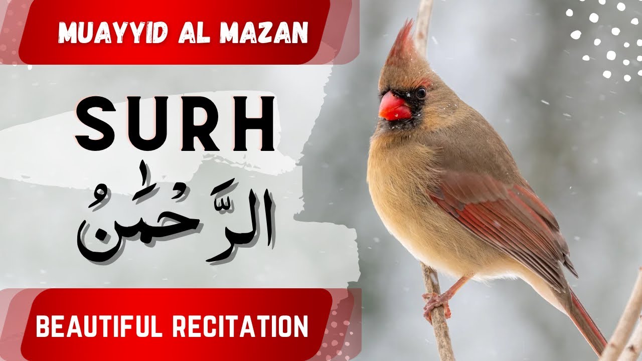 Surah Rehman by Mu'ayyid Al Mazen 2025