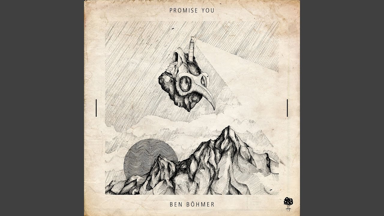 Promise You