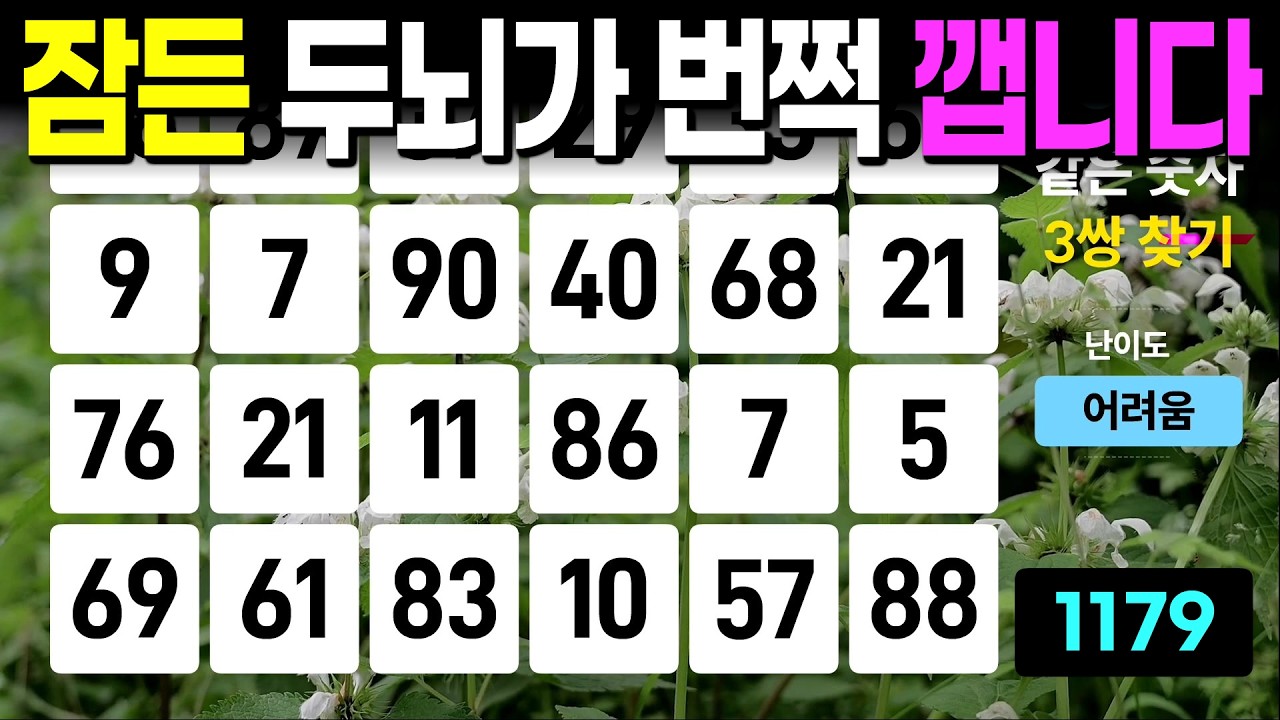 잠든 두뇌가 번쩍 깹니다 - 같은숫자찾기, 치매예방퀴즈, 치매예방활동, 숫자퀴즈, 숫자찾기, 단어퀴즈, 치매테스트