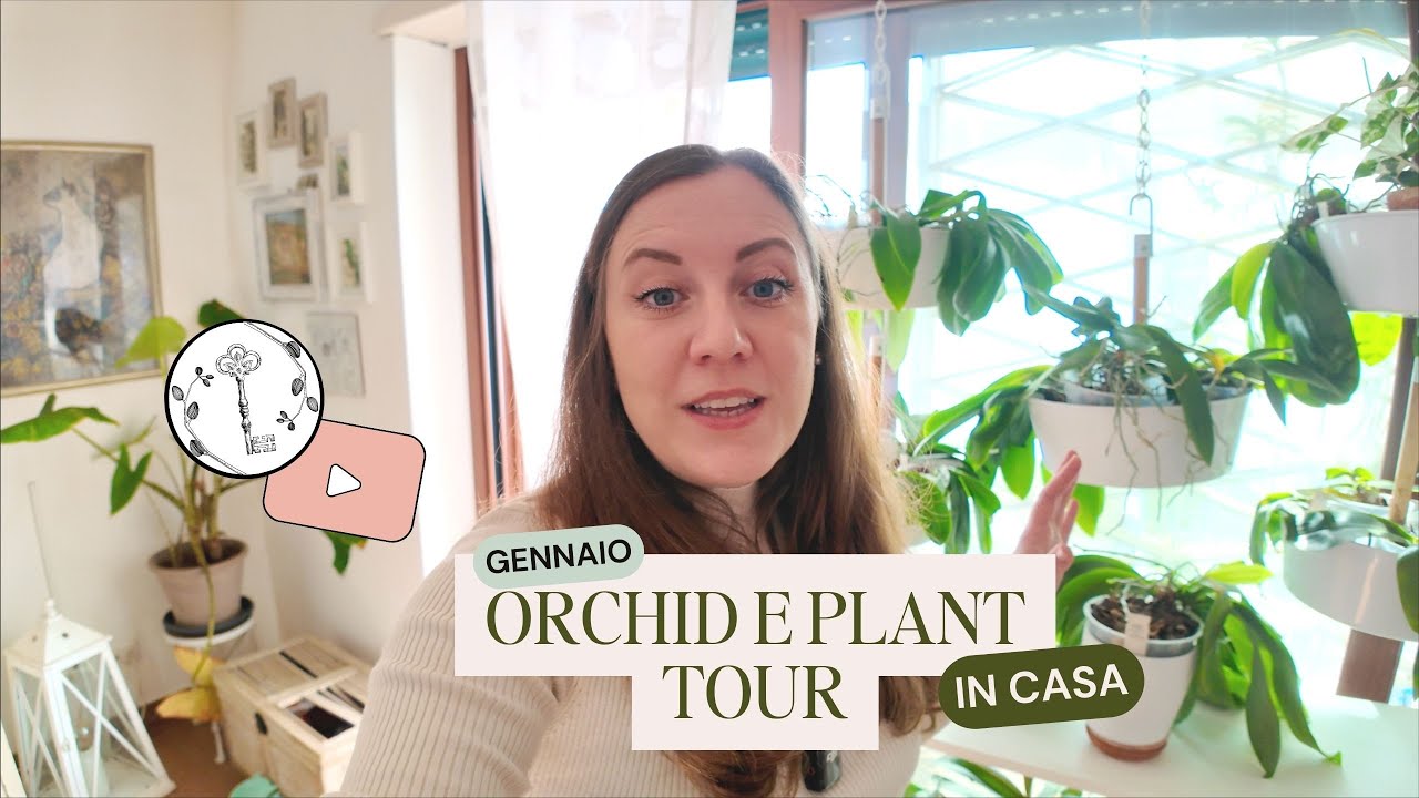 Aggiornamenti e plant tour in casa parte 2. Considerazioni finali