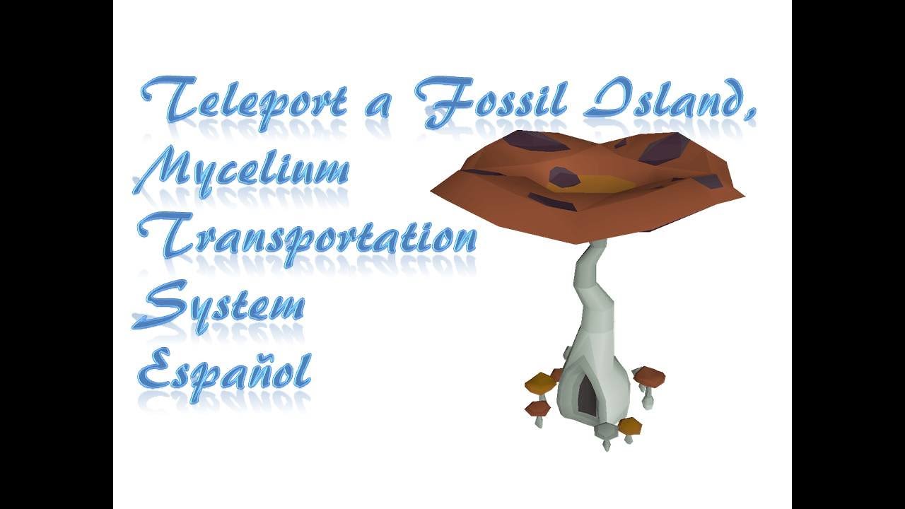 Como Desbloquear El Teleport A Fossil Island Y El Sistema De Transporte En La Isla OSRS Español