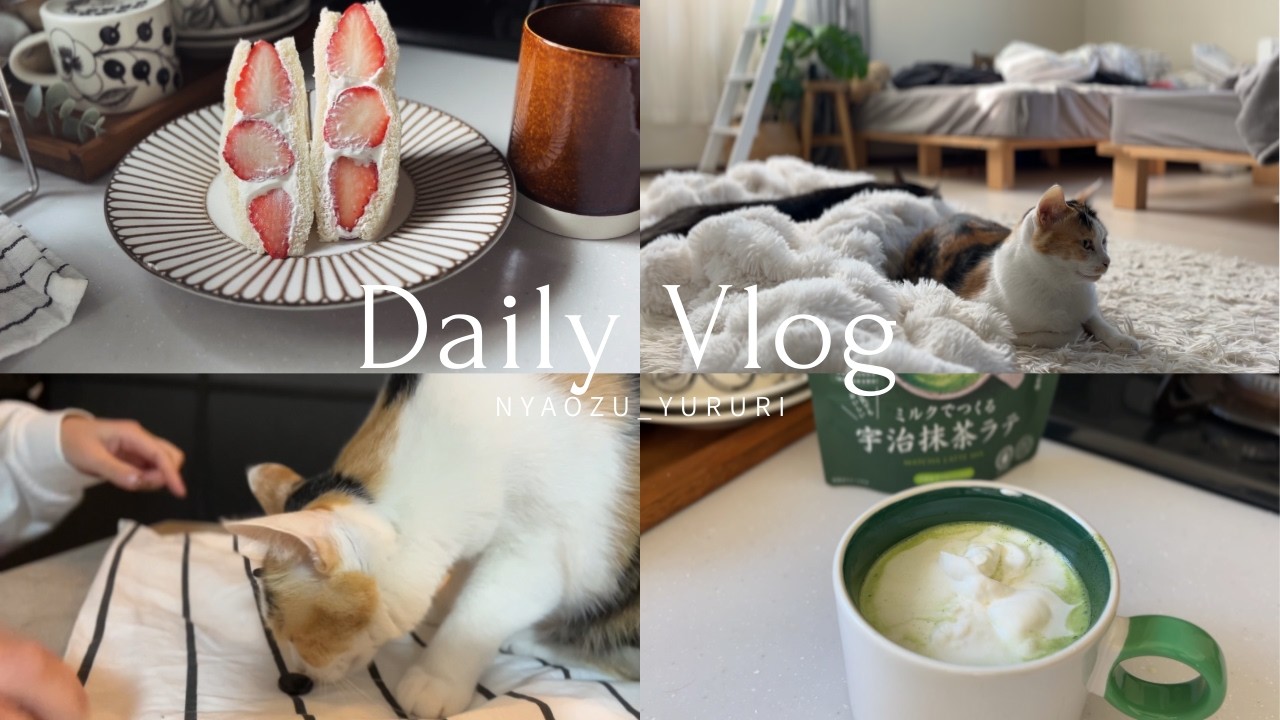 〈VLOG〉スタバ級の美味しさ？話題の抹茶ラテと旬のいちごサンド｜猫と過ごす静かな一人時間のルーティン