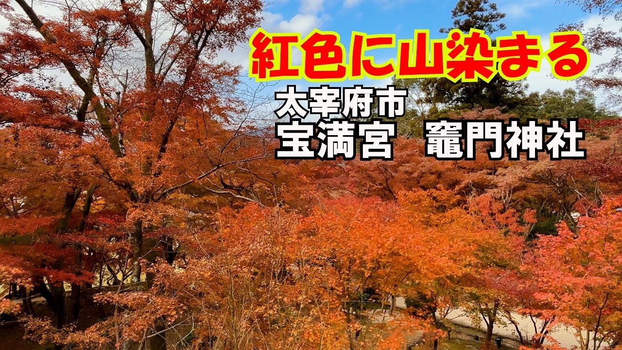 【福岡紅葉巡り】　アニメ「鬼滅の刃」の聖地　太宰府市　宝満宮竈門神社
