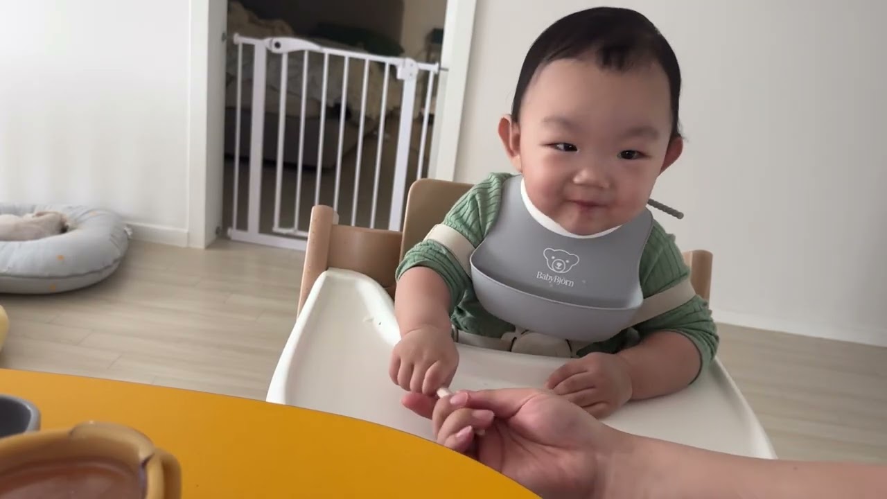 [Vlog] 밥태기 극복기념 브이로그