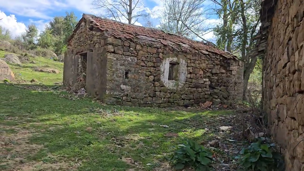Lost in Time: Beautiful Old Houses Nestled in Nature 🌿🏚️