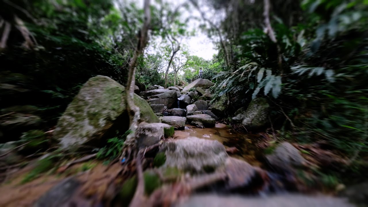 First-person view (FPV) flight in the mountain valley and jungle