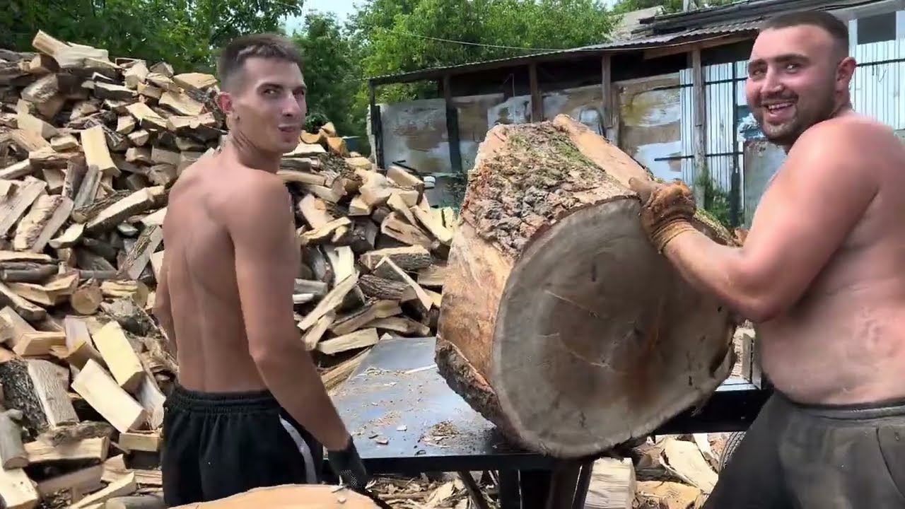 Hardcore Timber Processing | Full Workday in the Wild