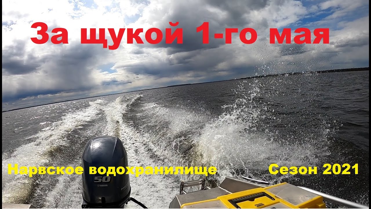За щукой 1-го мая на Нарвское водохранилище. Сезон 2021.