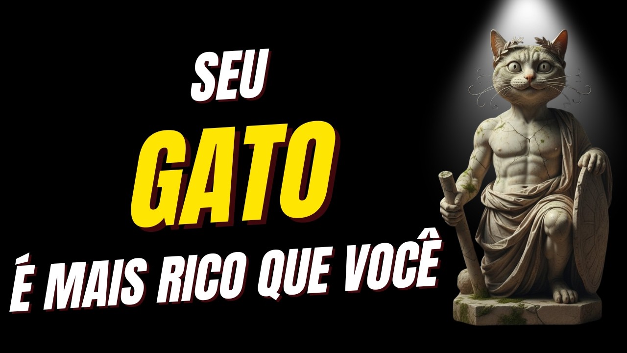 O Dinheiro Não É o Problema, e seu Gato já sabe.