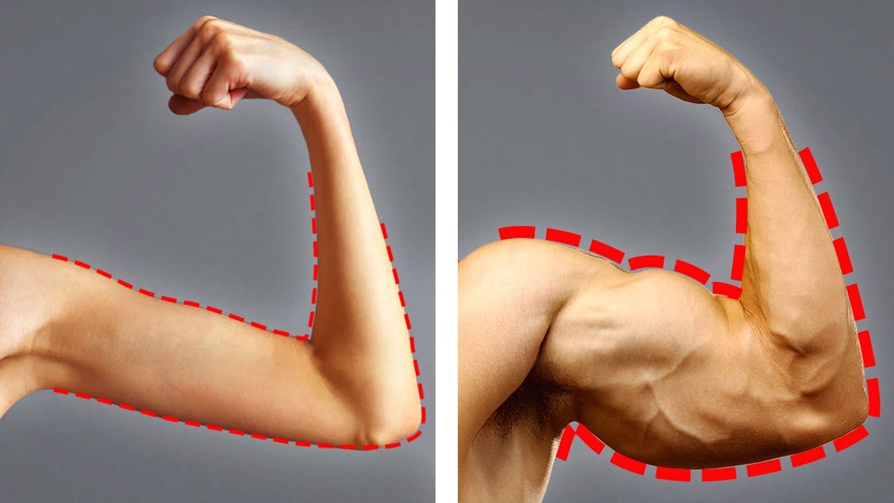 19 Aliments Qui Te Feront Gagner en Muscle et Prendre du Poids Plus Rapidement