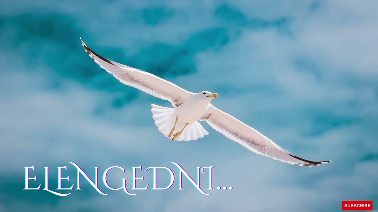 🌿🌺🌟ELENGEDNI...🌿🌺🌟 #inspir&aacute;ci&oacute; #&eacute;nidő #&ouml;nfelfedez&eacute;s #ilkafirka