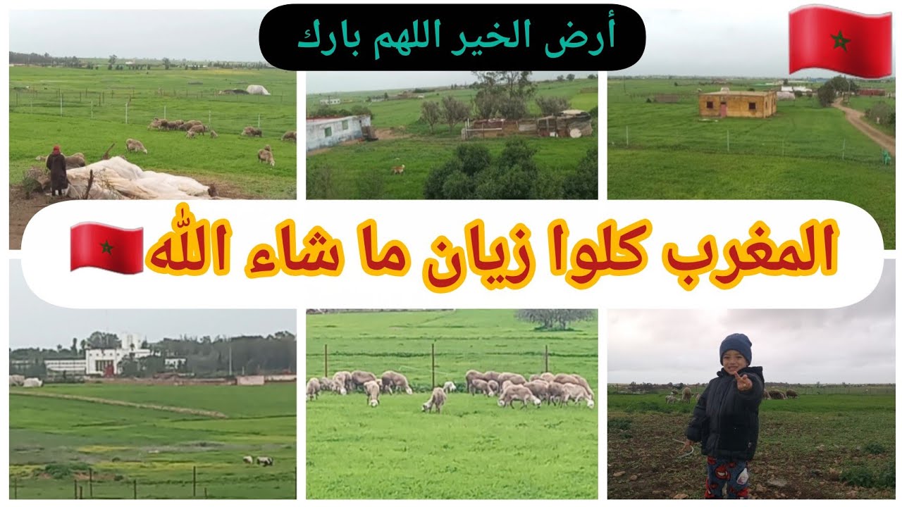 لم أجد عنوان لهذا الفديوا غير أن أقول انه رائع