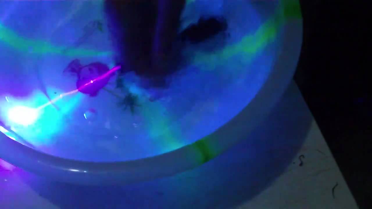 Waterproof 100mw Blue Violet Laser Pointers