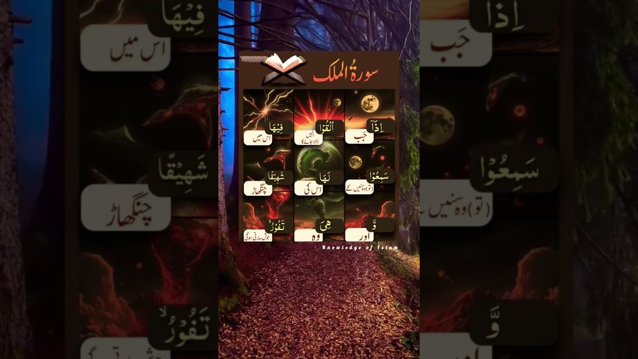 Surat Almulk|🥹🫀💓💗❤️🥰|#islamicviralshort #newshort #subscribe #knowledgeofislam #loveallah