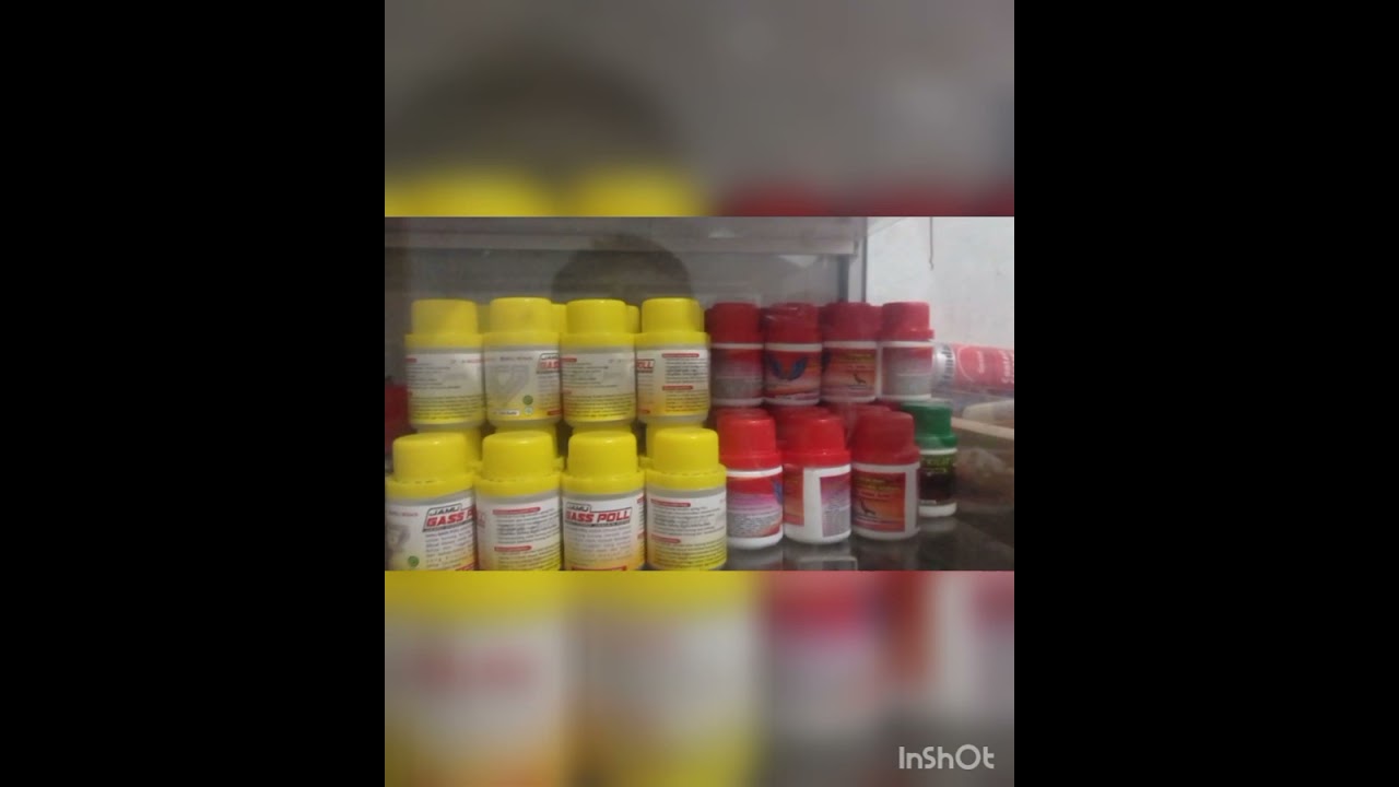 JAMU MERPATI GAS POLL