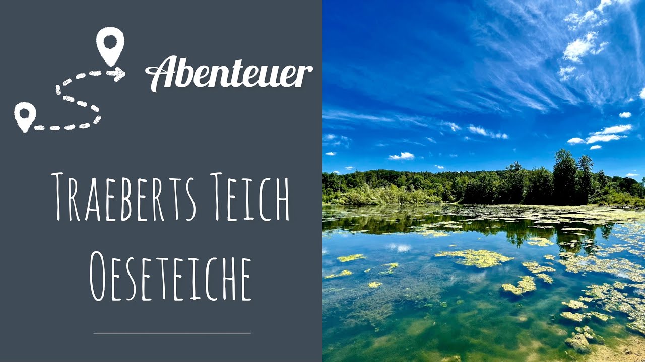 Unglaubliche 🦋 Artenvielfalt an Mendener 💦 Teichen - 3,5 km Rundweg zu Traeberts- und Oeseteich