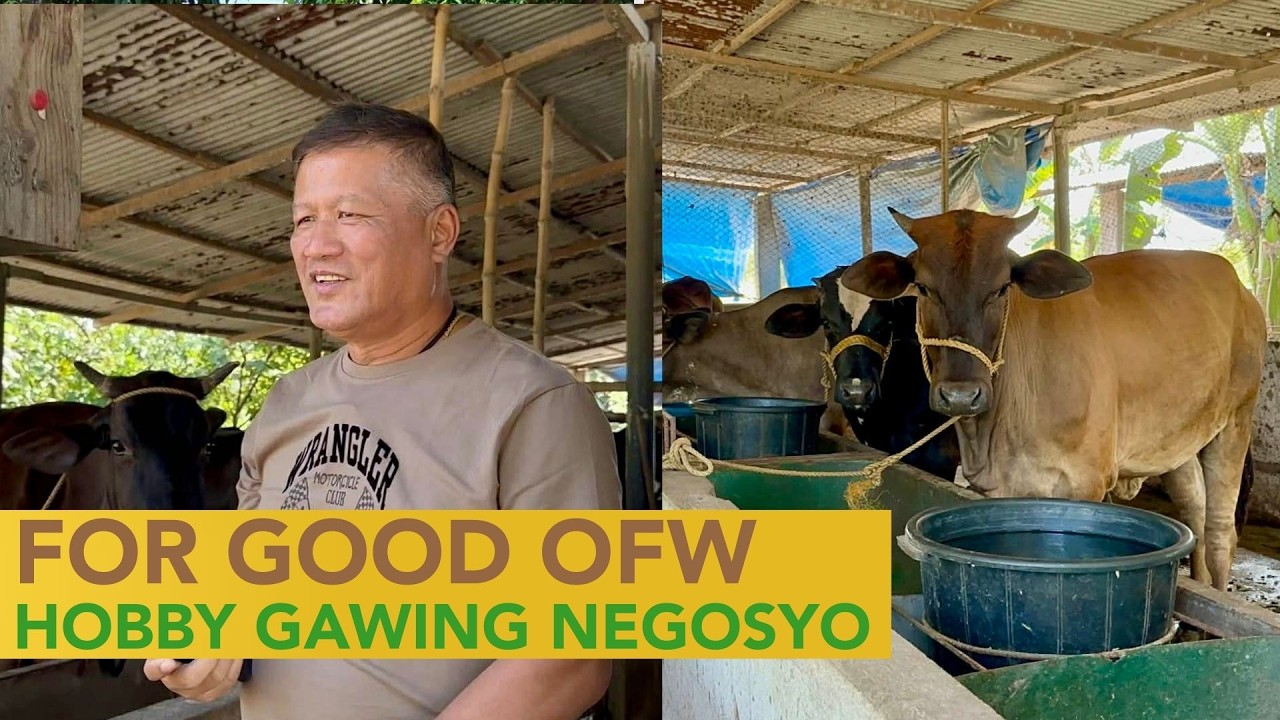Bakit Kapag OFW Hindi Kumikita ang Farming Venture?
