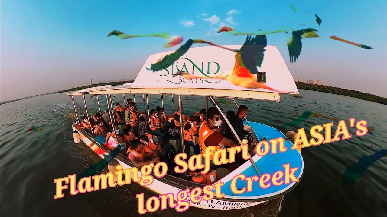 Flamingo Safari on ASIA's Longest Creek Mumbai | Explore Maharashtra |