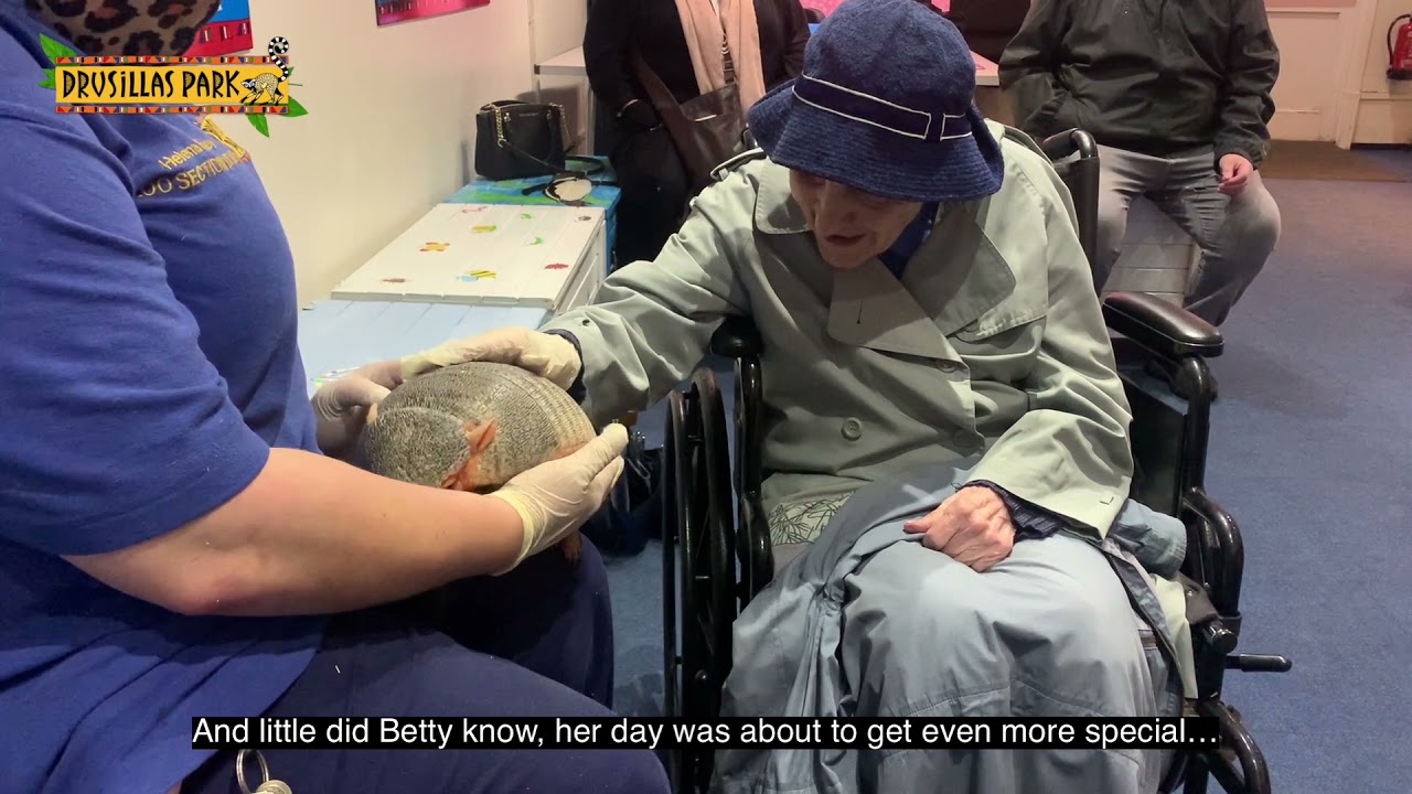 100 years old! |Birthday celebrations at the zoo | Drusillas Park