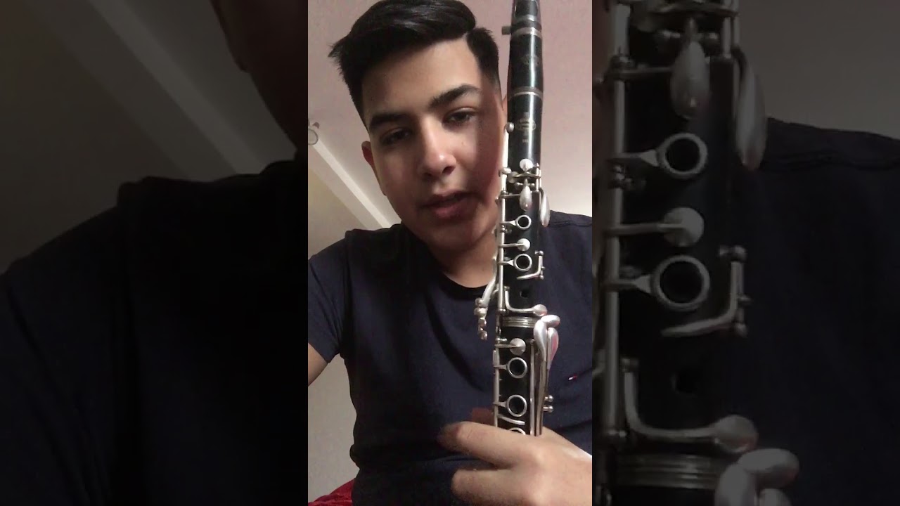 Voi &icirc;ncepe tutorial la clarinet !