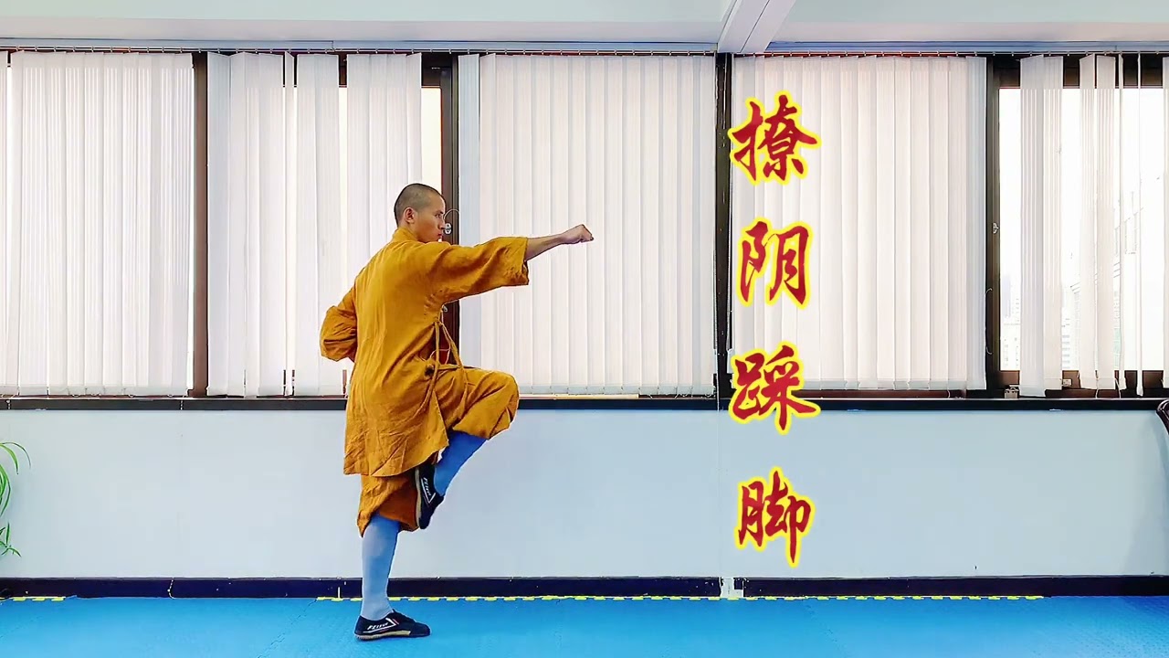 Shaolin Shi San Quan 十三拳 · Thirteen Fists