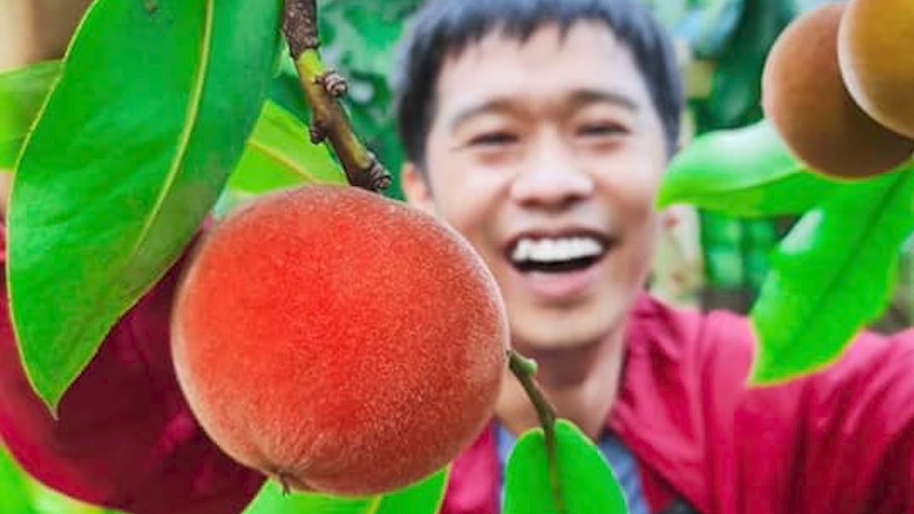 ชิมผลไม้แปลก ขัดขนแล้วเปลี่ยนสี ต้นละแสน | เอิร์ธสดชื่น