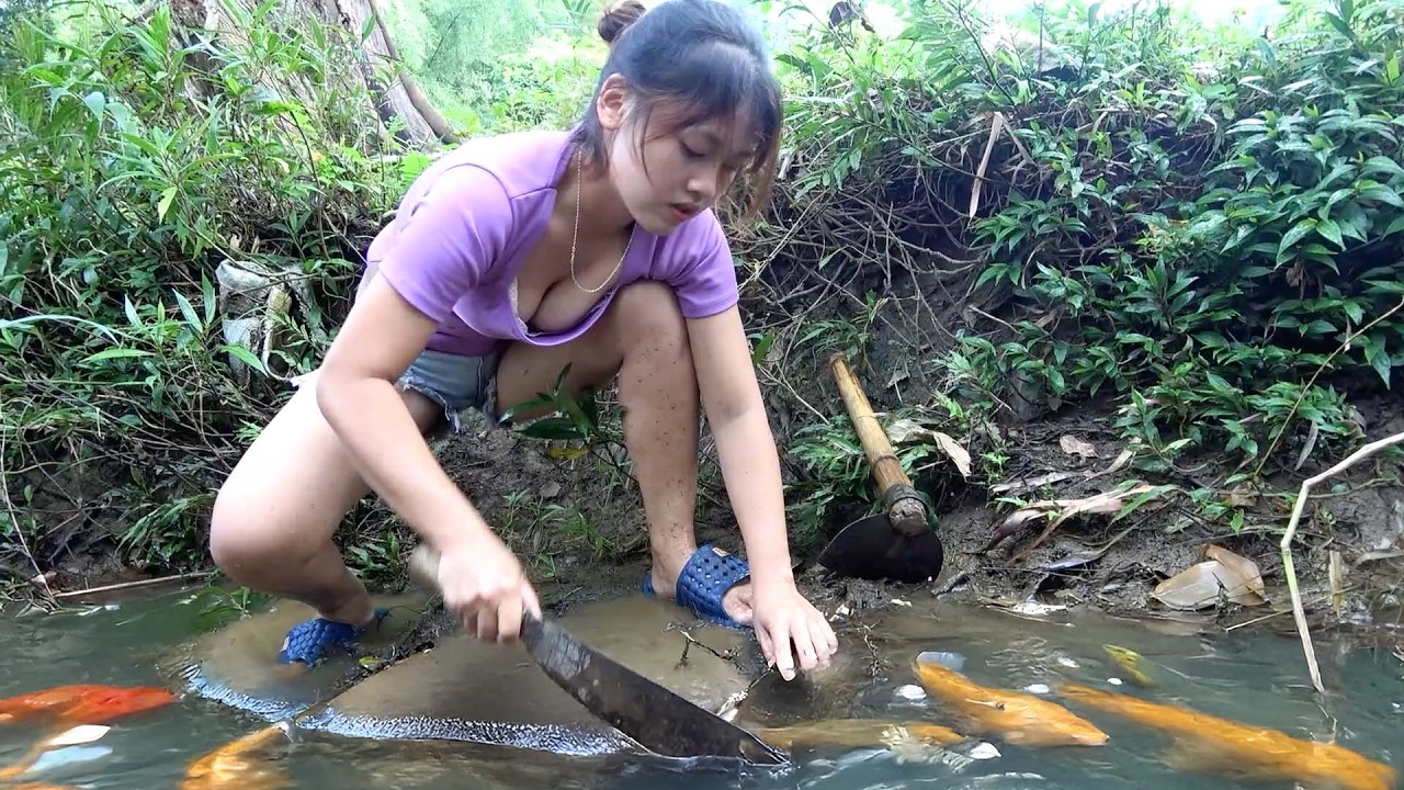 Dredge Fishing Nets: Ancient Fishing Techniques, Harvesting A Lot Of Carp Fish | Nguyet Fishing