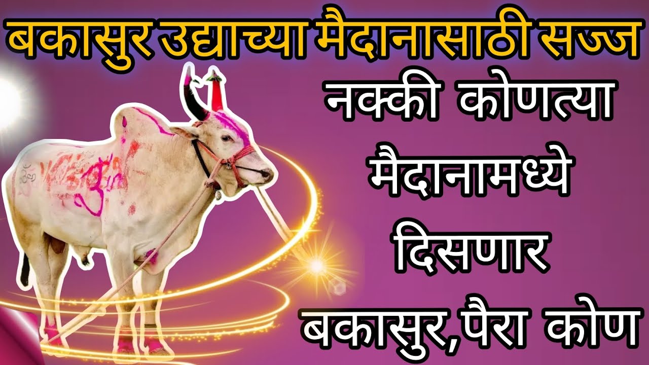 बकासुर उद्याच्या मैदानामध्ये सज्ज नक्की कोणत्या मैदानात दिसणार आहे बकासुर पैरा कोण असणार