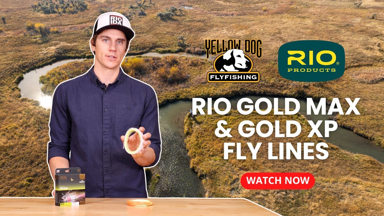 RIO Fly Line's Gold XP and Gold Max