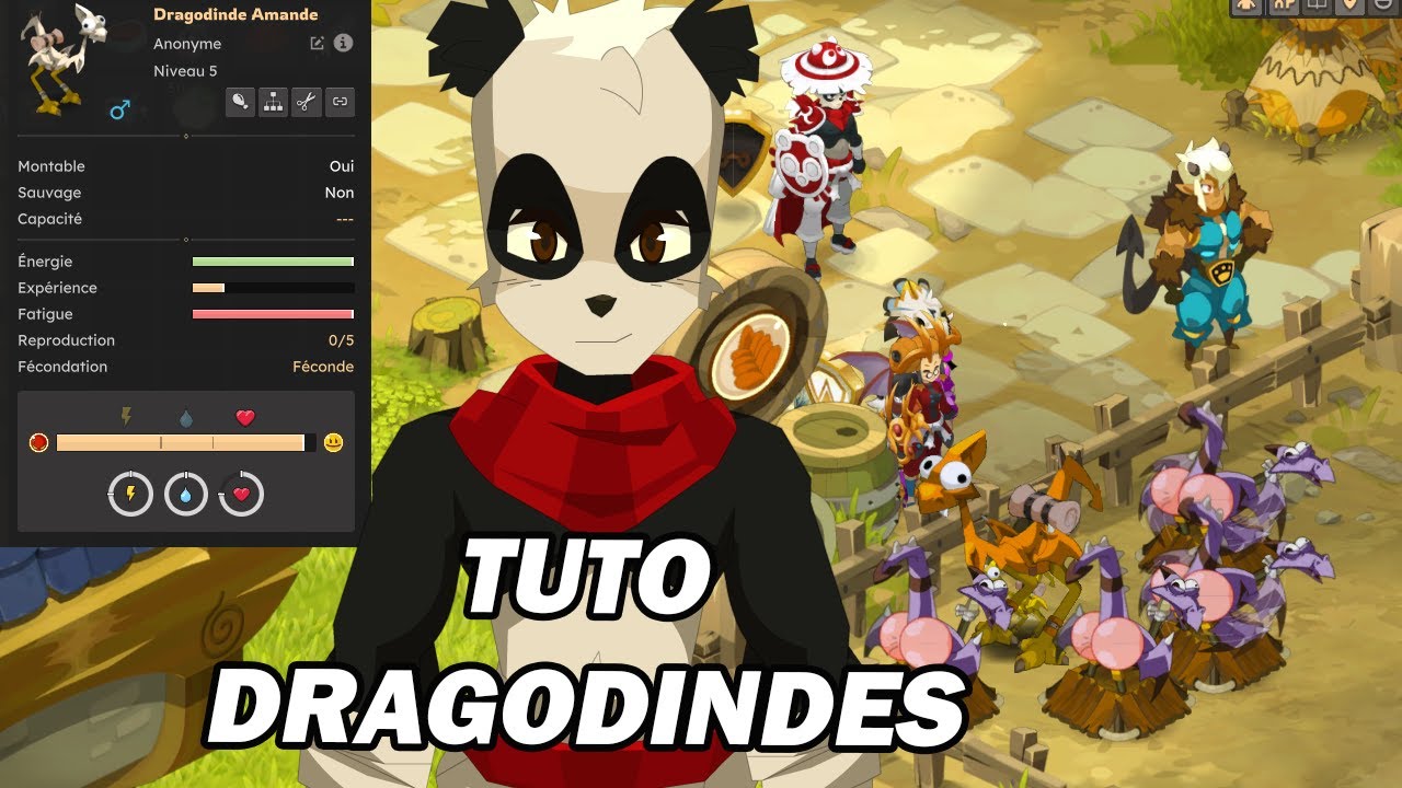 Tuto : Elever des dragodindes avec les enclos Public sur Dofus 3.0