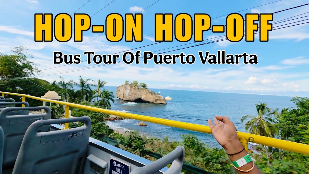 Whale Watching in Puerto Vallarta | Hop-On Hop-Off City Tour 🇲🇽