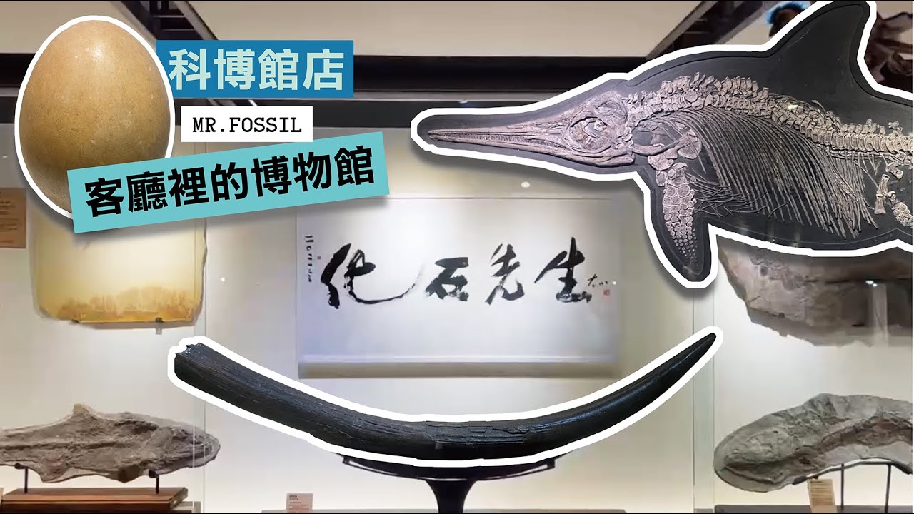 【Nicko】超多精品化石！博物館裡的博物館 「化石先生」科博館店   Mr. Fossil Store - Taiwan National Museum