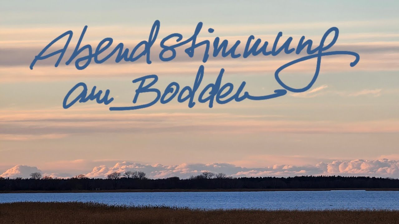 Glücksvögel beobachten: VonZingst mit dem Schiff zum Kranich-Rastgebiet Pramort-Bock (4K)