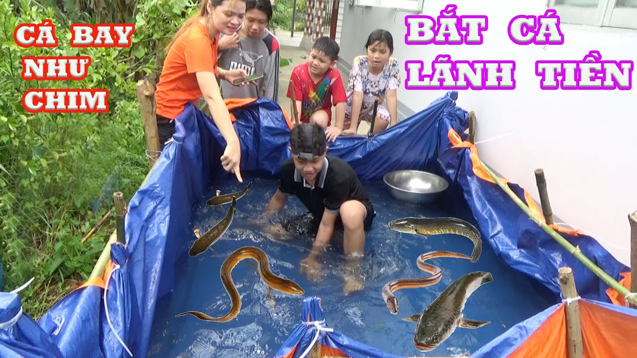 Bắt Cá Lãnh Tiền - Catch The Fish Game [ Trang And Vinh ]
