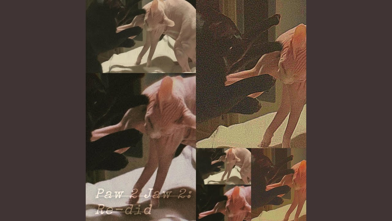 Why Aren't You My Biggest F (L) an