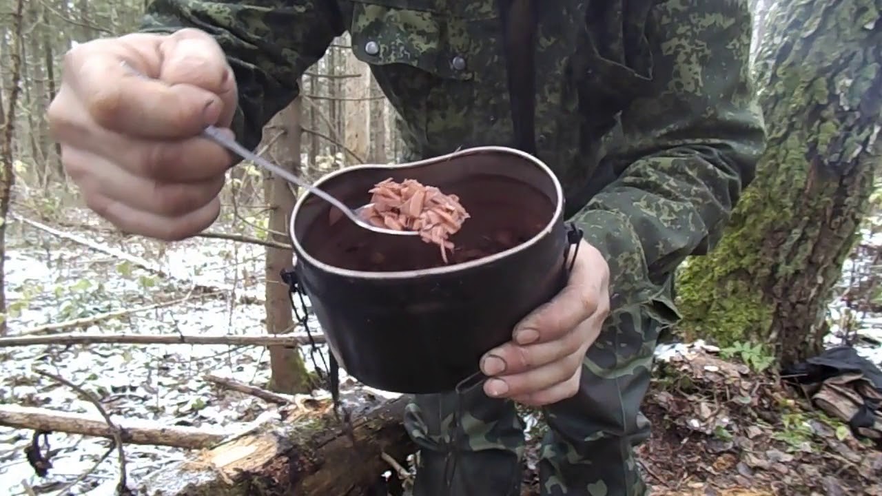 что можно есть в лесу или  как приготовить гарнир из сосновой коры