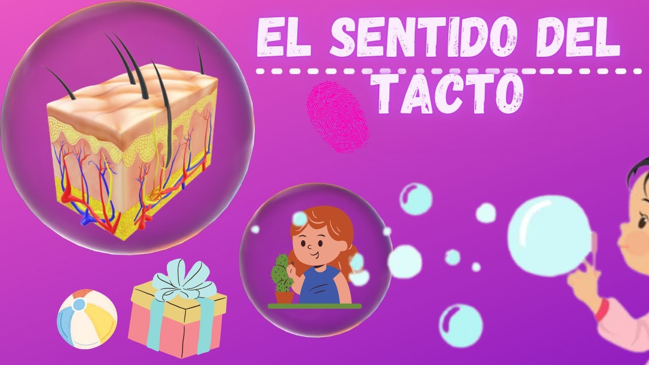 El sentido del tacto - Los 5 sentidos para niños