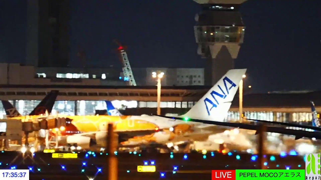 NRT成田空港/21January2026